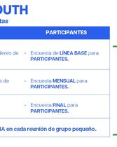 Resumen de encuestas a realizar-Alpha Youth