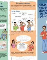 Brochure Cambios Corporales_CHICOS